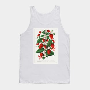 Red Flower, Clematis Coccinea Lithograph (1900) Tank Top